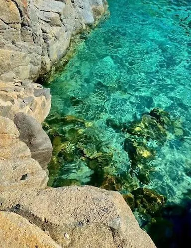 Nyaraló Thale - Casa